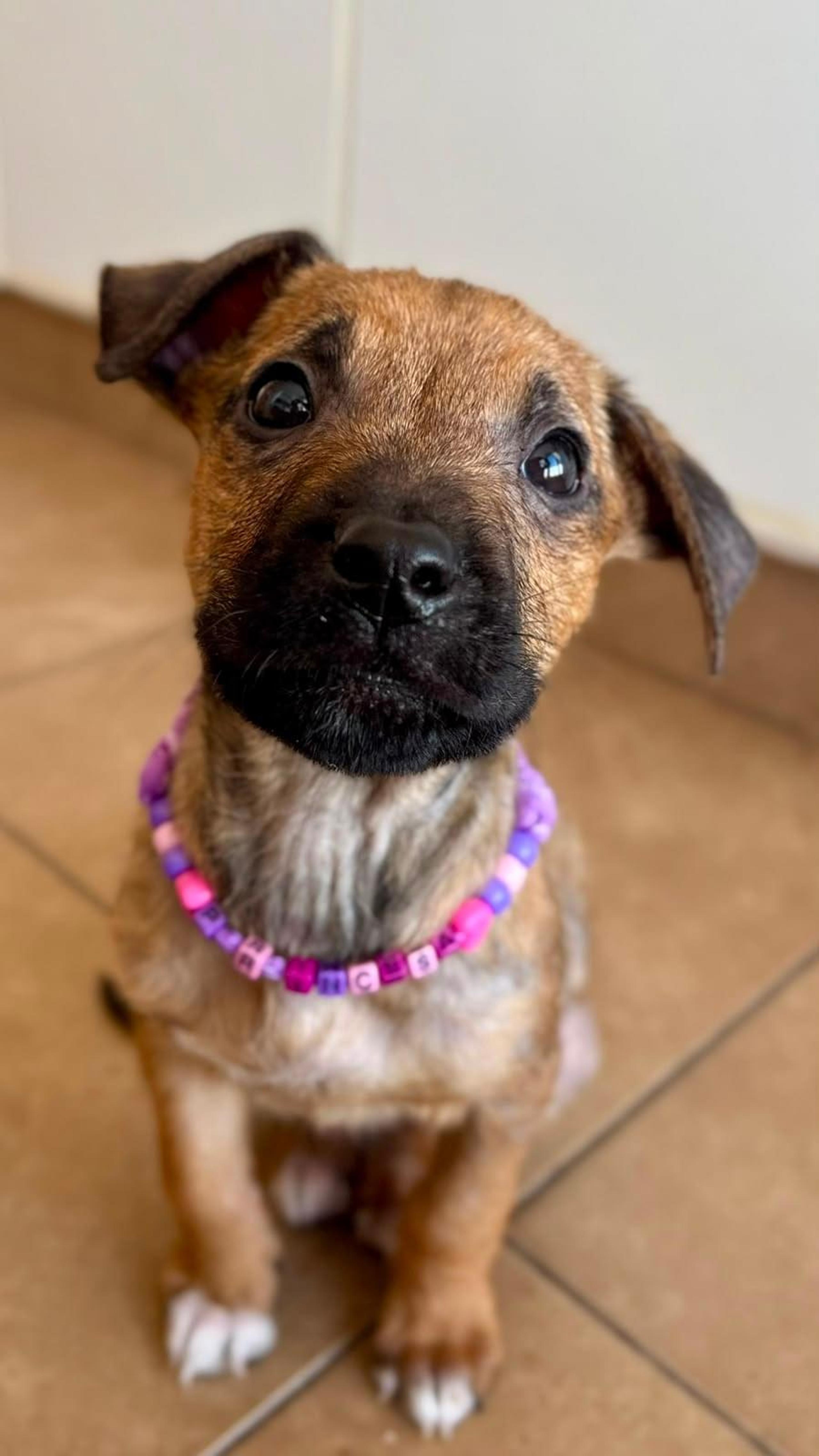 Foto de Princesa