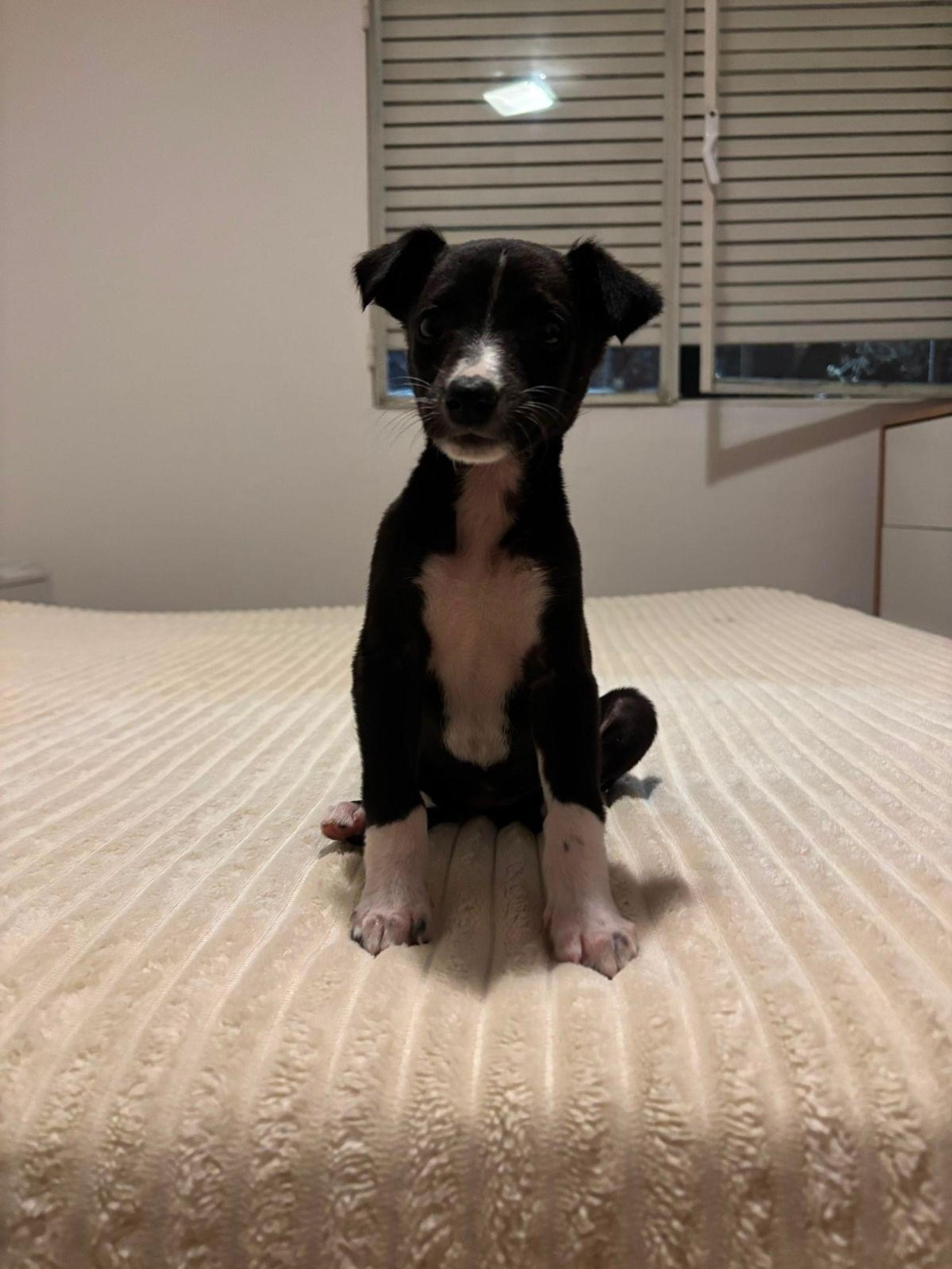 Foto de Carmela