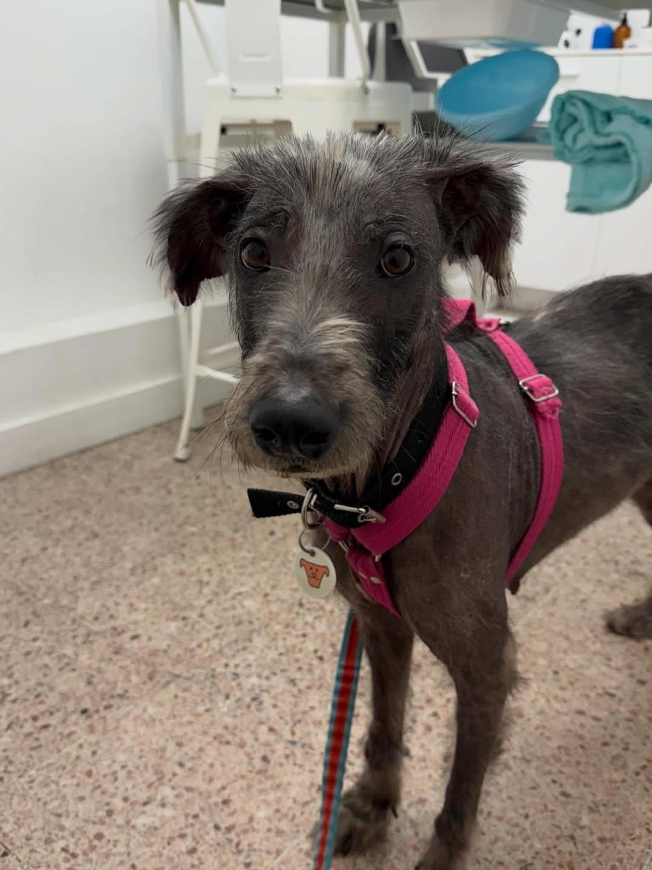 Foto de Magui
