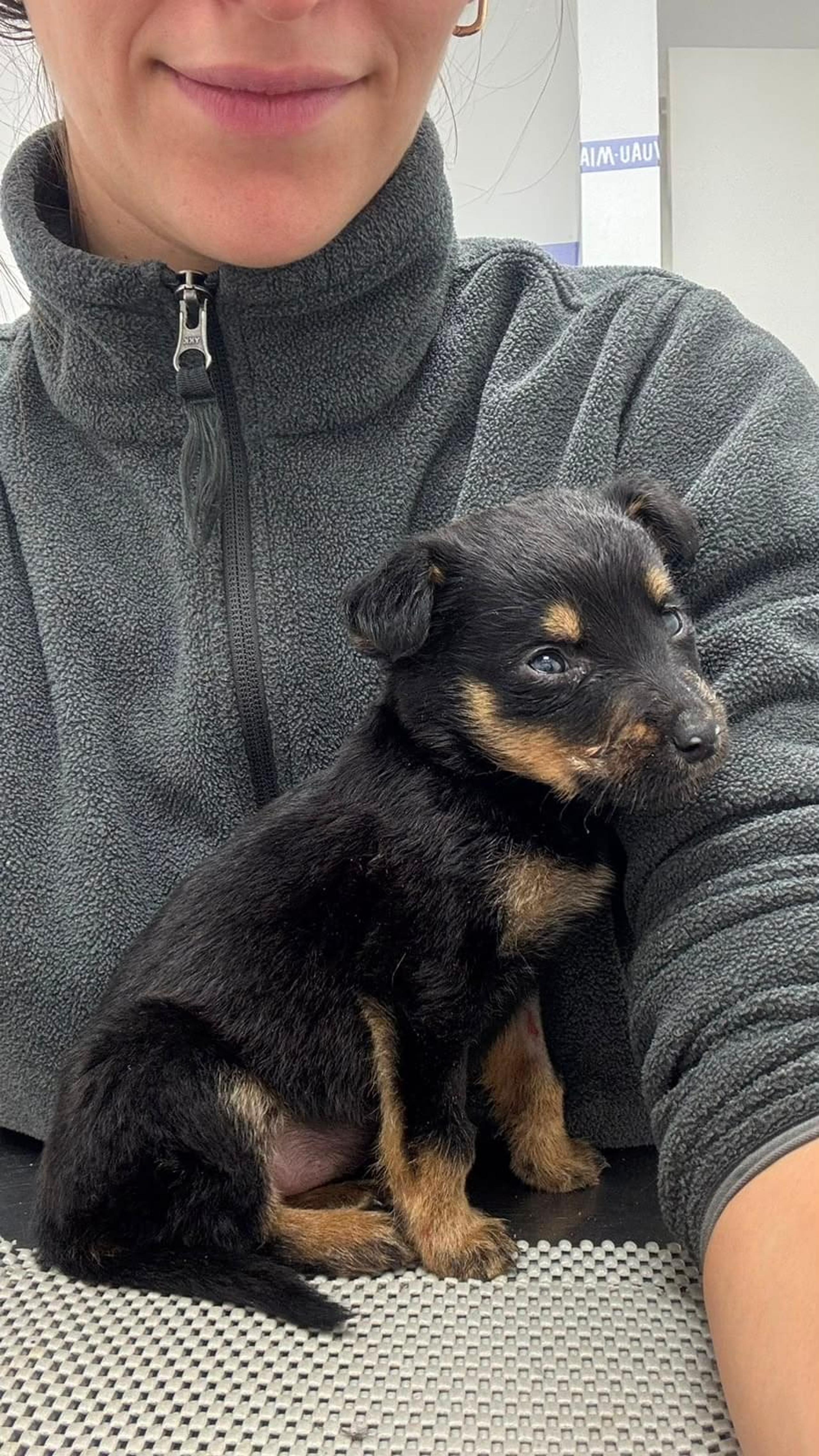 Foto de Pupina